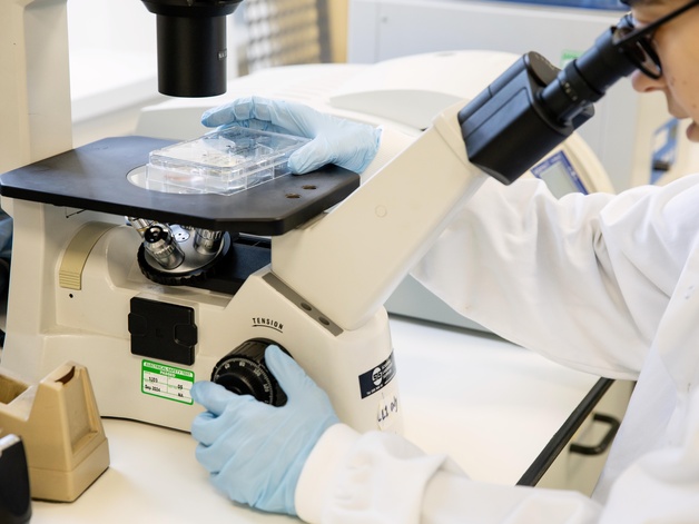A researcher using a microscope