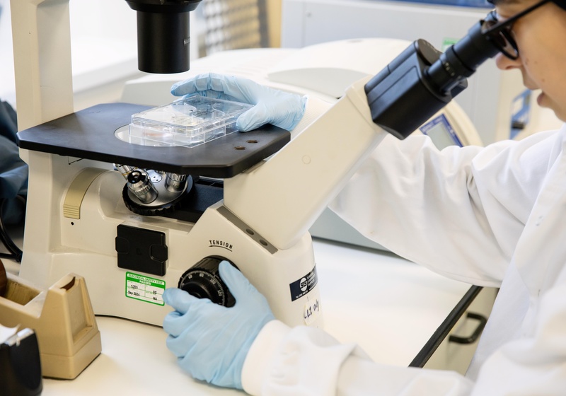 A researcher using a microscope